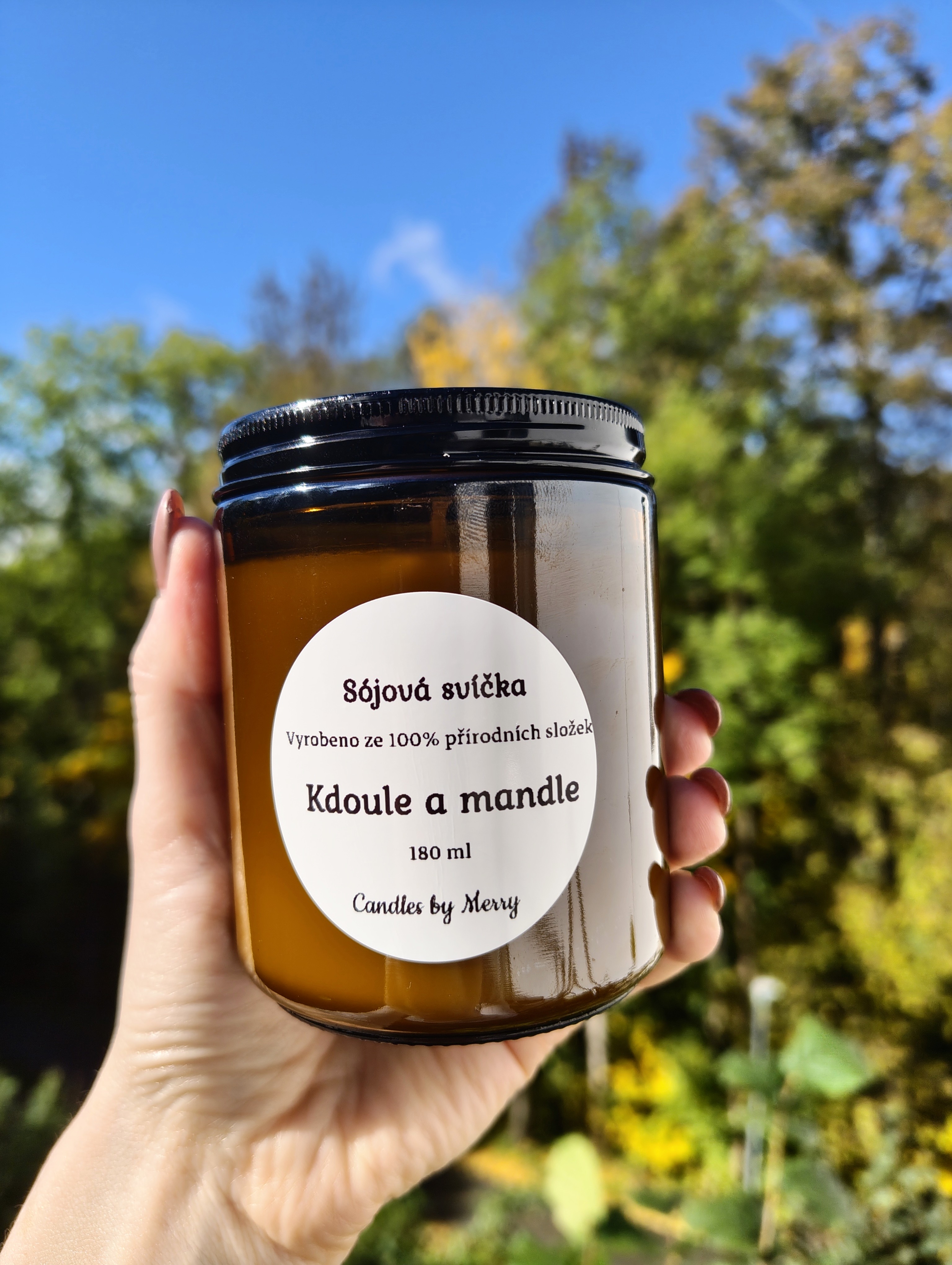 IMG_20251013_120329045 (1)